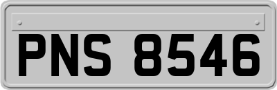 PNS8546