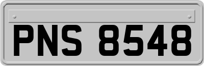 PNS8548