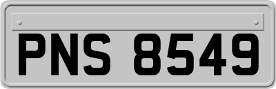 PNS8549