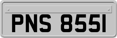 PNS8551