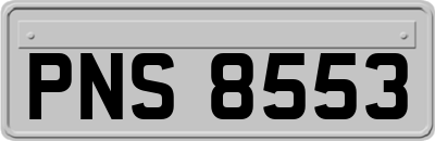 PNS8553