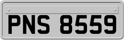 PNS8559
