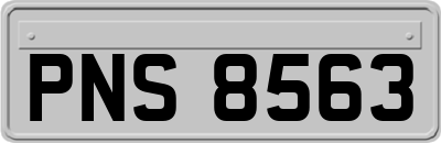 PNS8563