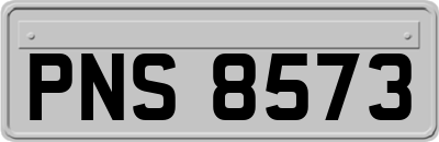 PNS8573