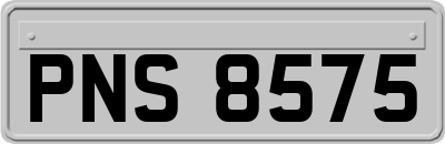 PNS8575