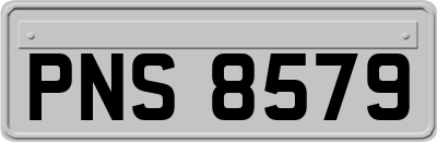 PNS8579