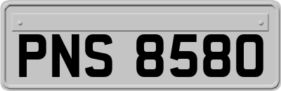 PNS8580