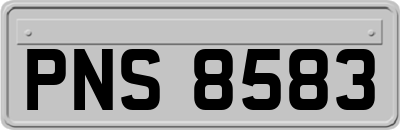 PNS8583