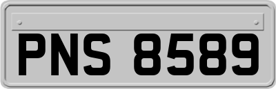 PNS8589