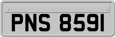 PNS8591