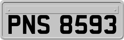 PNS8593