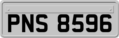 PNS8596