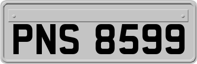 PNS8599