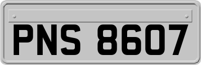 PNS8607