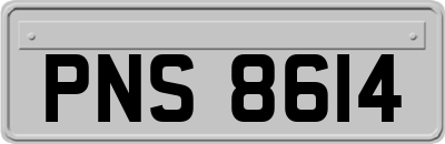 PNS8614