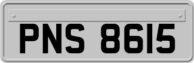 PNS8615
