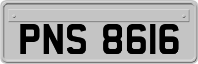 PNS8616