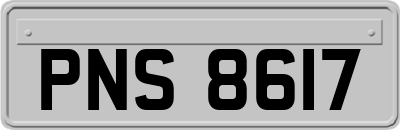 PNS8617