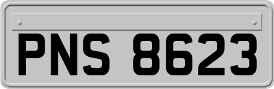 PNS8623