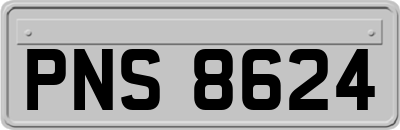 PNS8624