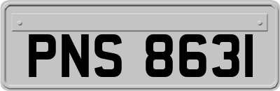 PNS8631
