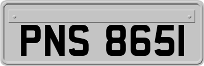 PNS8651