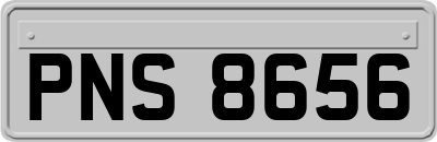 PNS8656