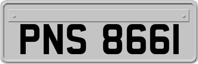 PNS8661