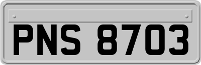 PNS8703