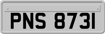 PNS8731