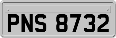 PNS8732