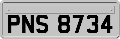 PNS8734