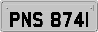 PNS8741