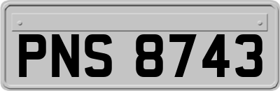 PNS8743