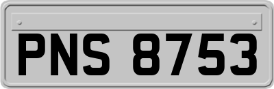 PNS8753