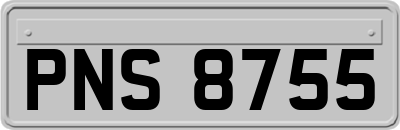 PNS8755