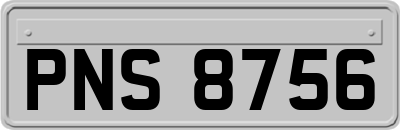 PNS8756