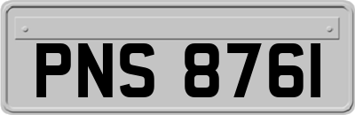 PNS8761
