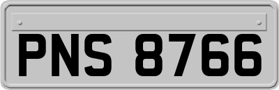 PNS8766