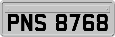 PNS8768