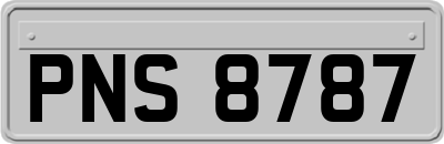 PNS8787