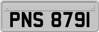 PNS8791