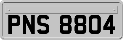 PNS8804