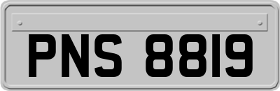 PNS8819