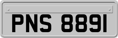 PNS8891