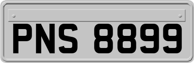 PNS8899