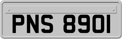 PNS8901