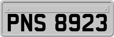 PNS8923