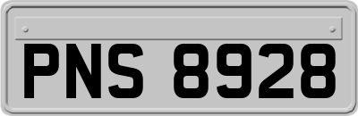 PNS8928