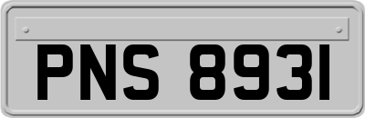 PNS8931